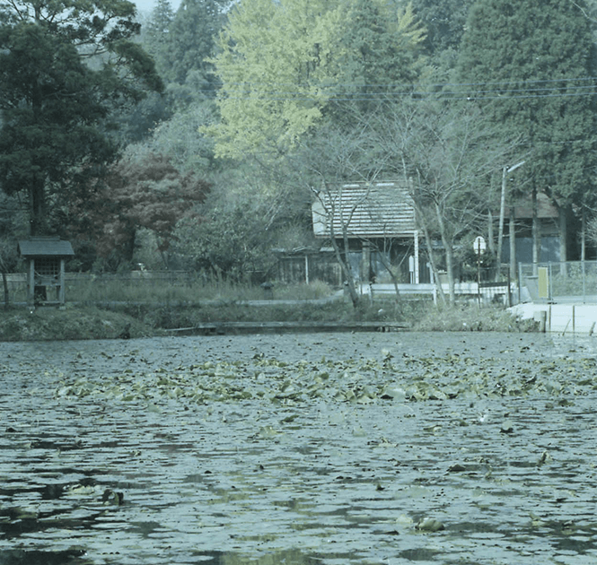 【佳作】秋の結縁寺