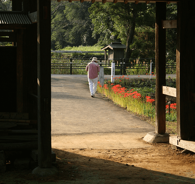 【ふるさと大賞】朝陽を受けて