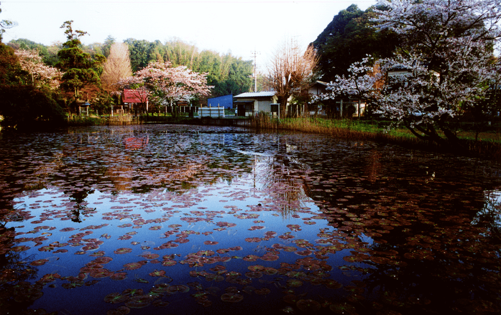 【ふるさと大賞】結縁寺遠景